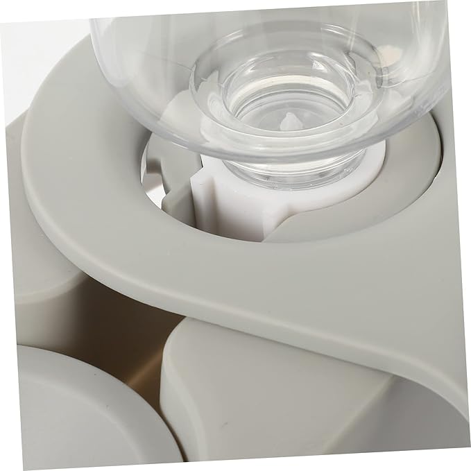 Stainless Steel Cat Bowl Elevated Cat Feeder Tilted Pet Bowl and Automatic Water Container