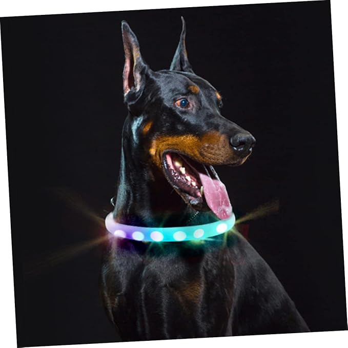 USB Charging Led Dog Collar Pet Collar for Night Safety Comfortable and Design USB Rechargeable for Dogs