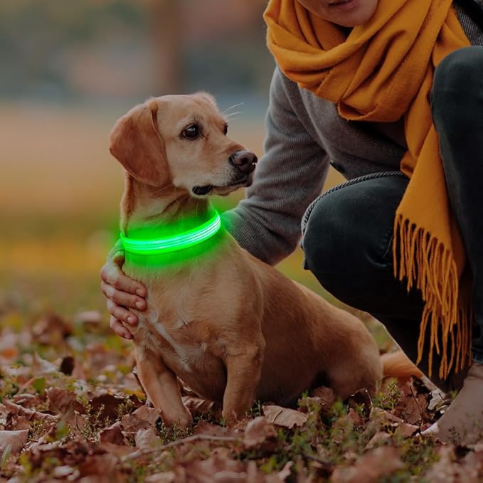 Light Up Dog Collars - USB Rechargeable Reflective LED Dog Collar, Water-Resistant Glow Pet Collar Lights for Night Walking Camping (Green, Medium)