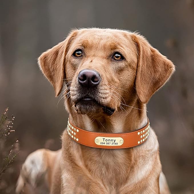 Rhinestone Custom Dog Collars Leather Personalized Crystal Pet Collar Padded Collars Adjustable for Small Medium Large Dogs Brown S