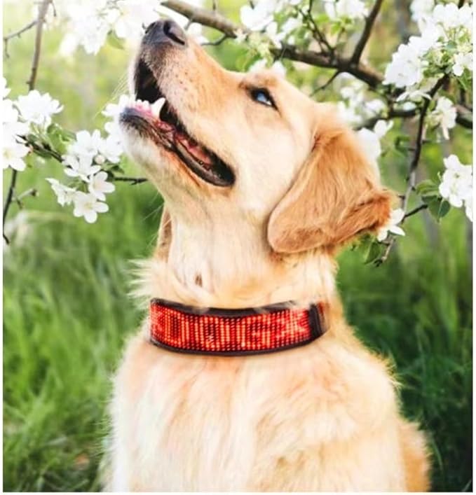 Led Dog Collar for App Programmable Text Flashing Light Up Cosplay Accessories- USB Rechargeable Hand and Leg Rings Cat Digital Pet Collar Weatherproof Fits for Small Medium Dog (Red LED)