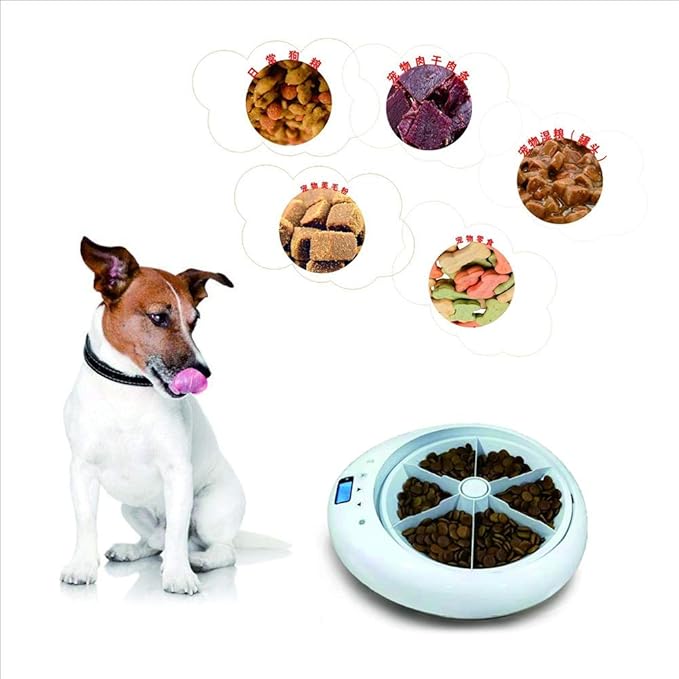 feeders Intelligent Automatic pet Feeder Timing quantitative 6 Meal cat and Dog can Record Feeder Bowl Bowl Catering Machine Matching Feeding White