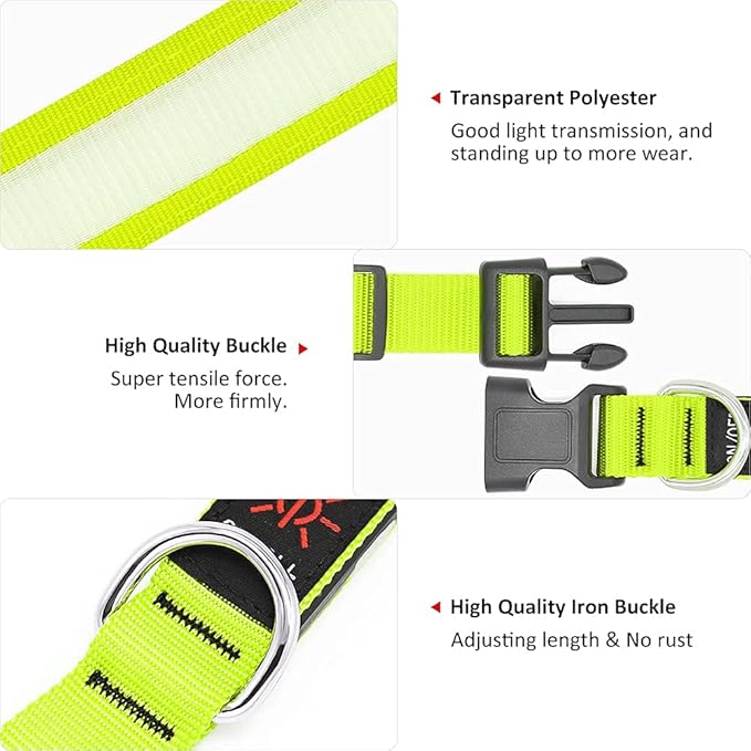 BSEEN Light Up Dog Collars - Rechargeable LED Dog Collar, Adjustable Dog Glow Collar, Reflective Pet Collar, Flashing Dog Lights for Night Walking (Neon Green, Large)