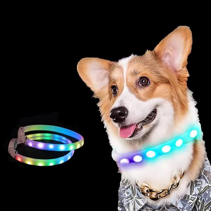 Dog Led Collar USB Rechargeable, Multicolored Lighted Dog Collar Band Flashing, Dog Collar Lights Up Night Walking for Small Medium Large Dog