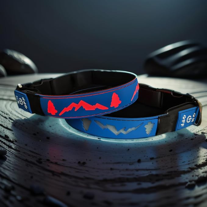 Customlized Name Flashing USB-C led Light up Dog Collar with airtag Holder, Subversive 3D Design Comfortable and Soft Material,Multicolored Lighting (Blue, L(15.7-19.7"))