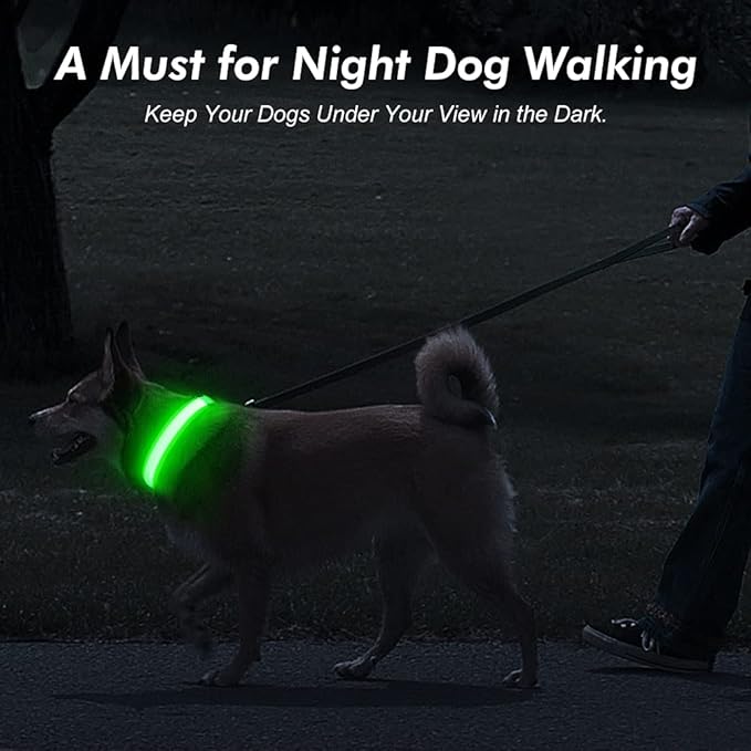 Illumifun LED Dog Collar, USB Rechargeable Light Up Dog Collars, Adjustable Glow Collars Safety Light for Small Medium Large Dogs (Green, Large)
