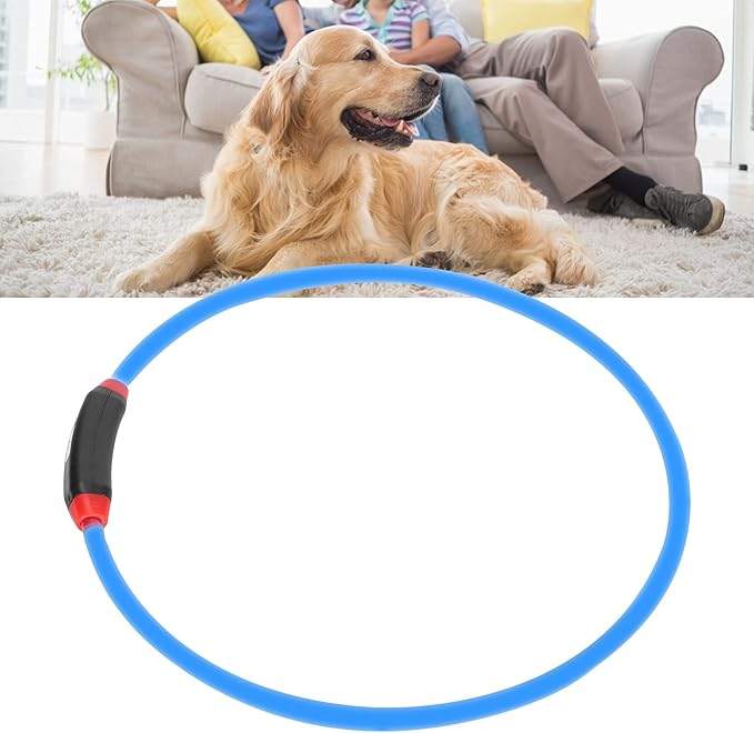 Dioche Light Up Dog Collar, in The Dark Dog Collar Glowing Pet Collar for Medium Small Dogs USB Rechargeable Led Collar Led Dog Collar for Night Walking Lighted Dog Collar Necklace