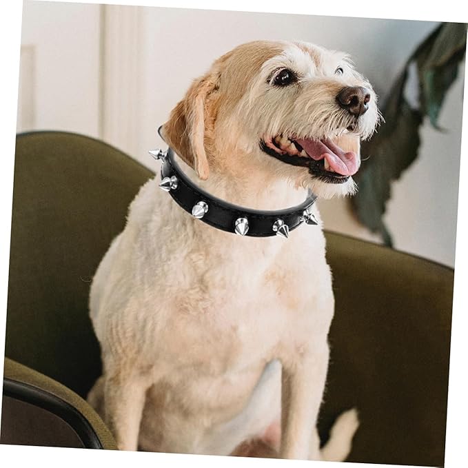 BESPORTBLE Studded Adjustable Leather Dog Collar for Medium Dogs, 2.0cm Wide Sturdy Rivet Puppy Collar for Walking and Training