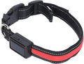Light Up Dog Collar, Glow in The Dark Dog Collar Adjustable Lighted Safety USB Rechargeable LED for Small for Nighttime Walking Camping (L)