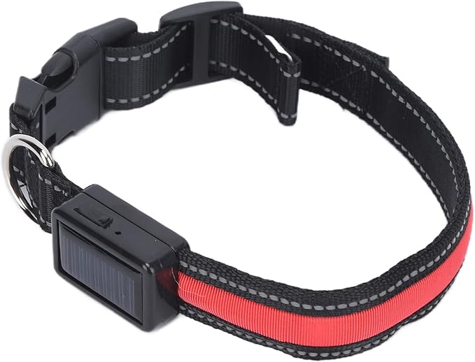 Light Up Dog Collar, Glow in The Dark Dog Collar Adjustable Lighted Safety USB Rechargeable LED for Small for Nighttime Walking Camping (L)