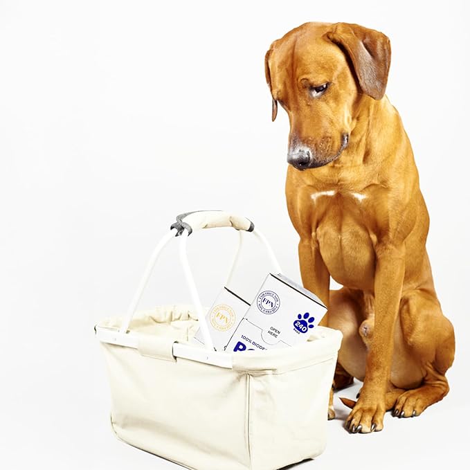 FPN Dog Poop Bags – 16 Rolls - 240 Bags, 13″ x 9″, Fits Most Dispensers – Biodegradable, Leak-Resistant & Earth-Friendly Pet Waste Bags (Lavender)