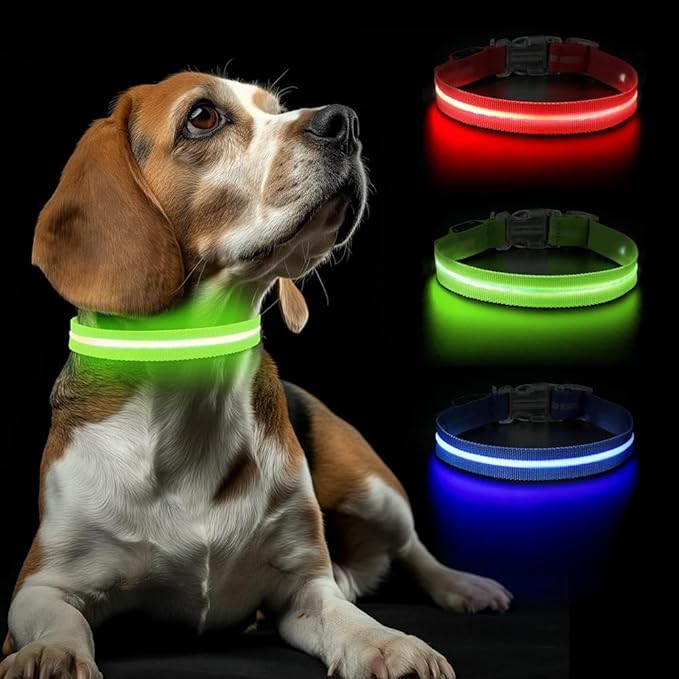 Cherry Red Large LED Dog Collar | Night Walks just got Safer | Ultra-Bright LED Collar | USB Rechargeable | Waterproof | Adjustable & Durable | 4 Light Modes | Keep Your Pup & Yourself Safe!