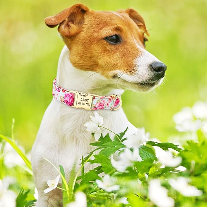 Personalized Floral Dog Collar and Leash Set Custom Small Medium Large Dog Pet ID Collar Lead Flower Print Dog Engraved Collars Pink Collar M
