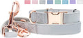 Soft Leather Dog Collar and Leash (6.6') Set - Stylish Rose Gold Heavy Duty Metal Buckle, 4 Adjustable Lengths Leash for Small Medium Large Dogs - Comfortable & Easy to Clean Grey M(13.8"-19.7")