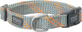 Terrain Dog Elevation Snap-N-Go Collar