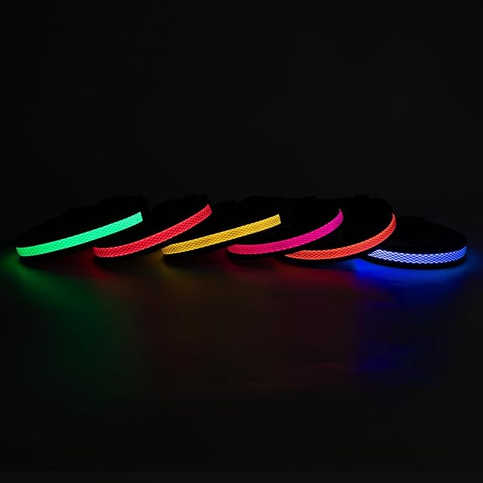 Led Dog Collar Rechargeable, Lighted Dog Collars for Night, Dog Collar Glow in The Dark Waterproof, Adjustable Light Up Collar for Small Dogs (Orange, Pack of 1, S)