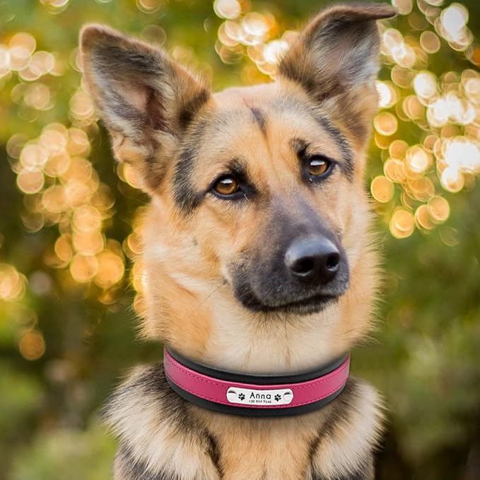 Large Dog Collar Genuine Leather Dog Collar Personalized Pet Name ID Collar Padded Customized for Medium Large Dogs Pink L