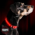 ILLUMISEEN LED Dog Collar USB Rechargeable - Bright & High Visibility Lighted Glow Collar for Pet Night Walking - Weatherproof, in 6 Colors & 6 Sizes (Red XX-Small)
