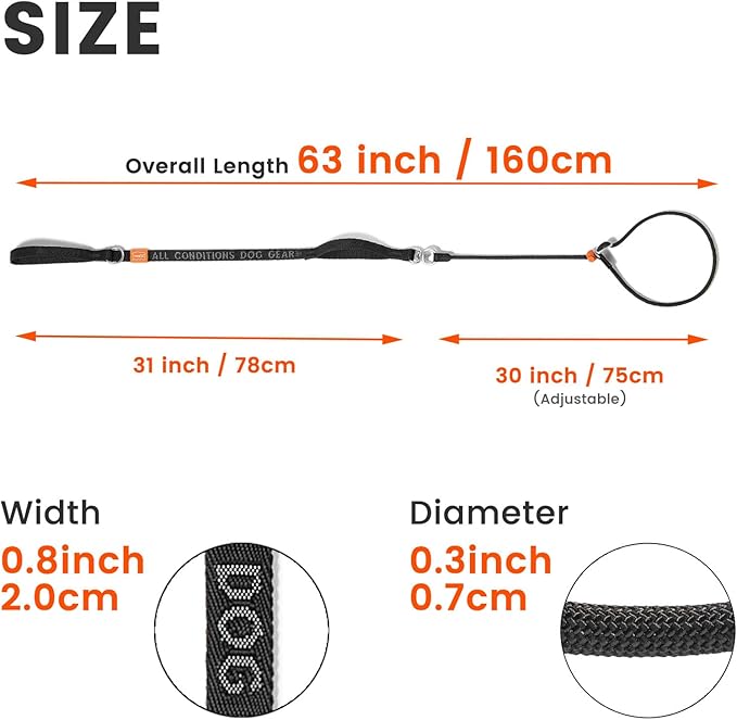 Slip Lead Dog Leash with Double Handles | Reflective Dog Training Leash with 360° Swivel Anti-Tangle | Heavy-Duty Leash and Collar for Large Medium and Small Dogs No-Pull Walking (Multicolor, 5.5FT)