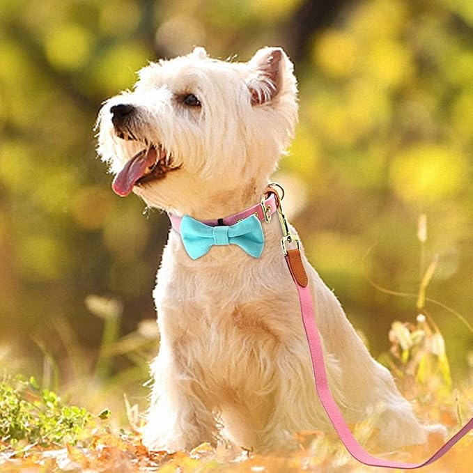 Small Dog Collar Leash Set Nylon Pet Collars Walking Lead Cute Puppy Bowknot Necklace for Small Medium Dogs Cats Adjustable Pink Set S
