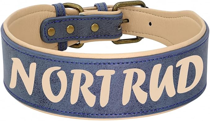 Custom Large Dog Collar Wide Leather Personalized Collars Medium Large Dog Pet Collars Customized for Dogs Printed Name ID Blue XXL