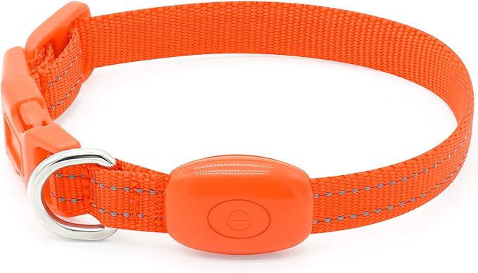 Candofly Light Up Dog Collar, USB Rechargeable Glowing Puppy Collar, Dog Camping Essentials - LED Collars for Night Walking (X-Small, Orange)
