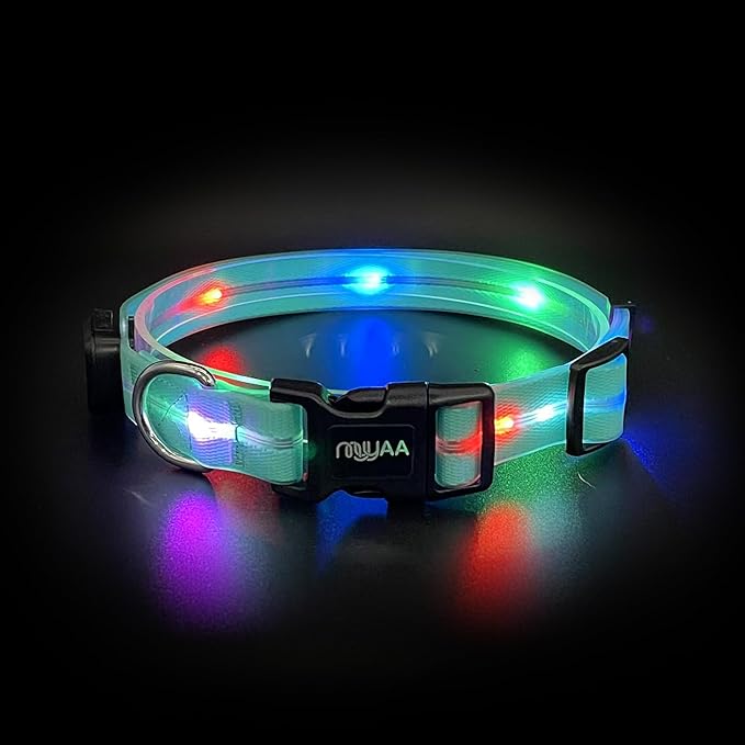 Light up Dog Collars, LED Dog Collar, Lighted Safety Collar for Walking at Night for Small Medium, Large Dogs (Light Blue)