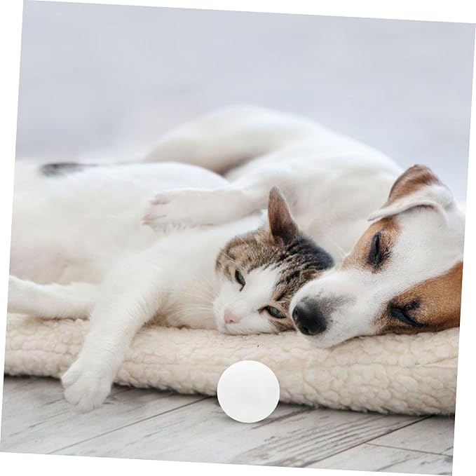 Dog Training Scent Tool Scent Training for Nose Work and Agility Games User-Friendly Design for Service Dogs