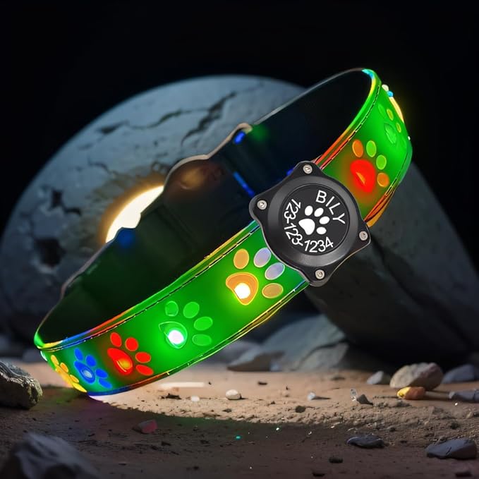 Customlized USB-C led Light up Dog Collar with Waterproof airtag Holder, 4 Modes Running Flashing Light (Green, M(11.8-15.7"))