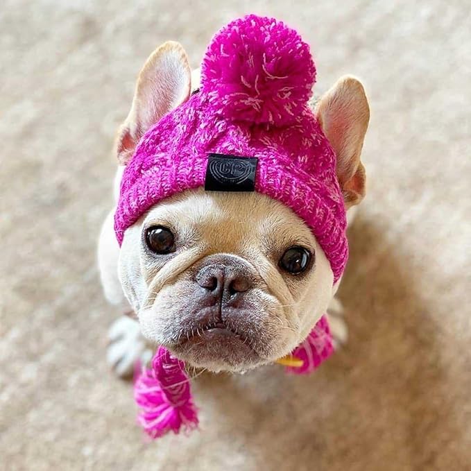 Winter Dog Hat,Knitting Wool Cap,Warm Pet Head Wear with Long Braid Puppy’s Head Accessorie (Purple S)