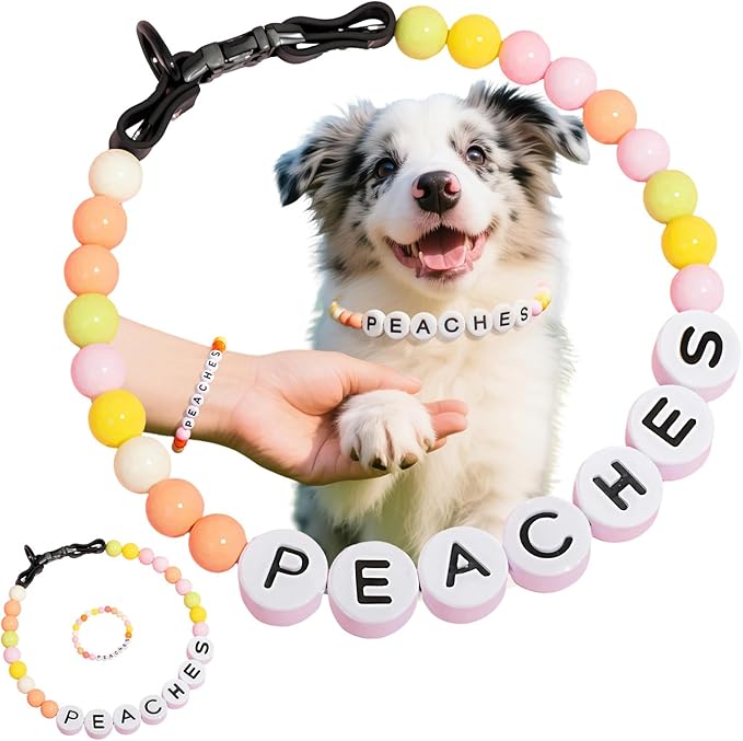 Personalized Beaded Dog Collar with Custom Name & Free Matching Bracelet - Adjustable Rainbow Pet Necklace Collar for Cats Dogs | Pet Lover Gift (#A)