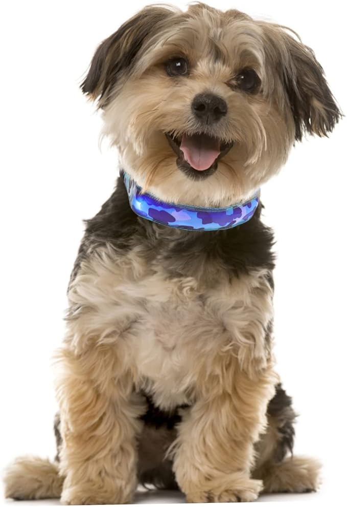 Luminous LED Dog Collar for Pets Durable Glowing Pet Collar for Nighttime Safety Rechargeable and Comfortable Design