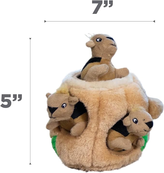 Outward Hound Hide A Squirrel Plush Dog Toy Puzzle, Small