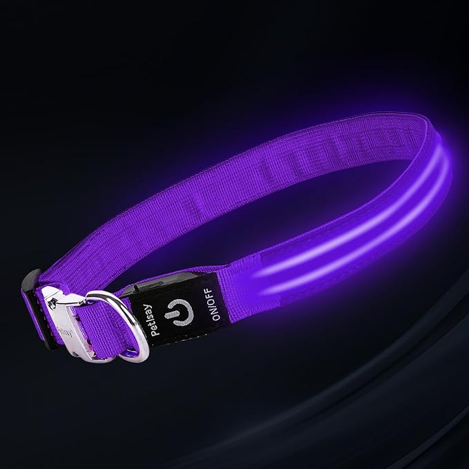 LED Dog Collar with Metal Buckle - USB Rechargeable Glow Collar for Dogs, Waterproof Light Up Dog Collar w/Reflective Strips - Adjustable Night Safety Collars by PetIsay(Purple, Small)