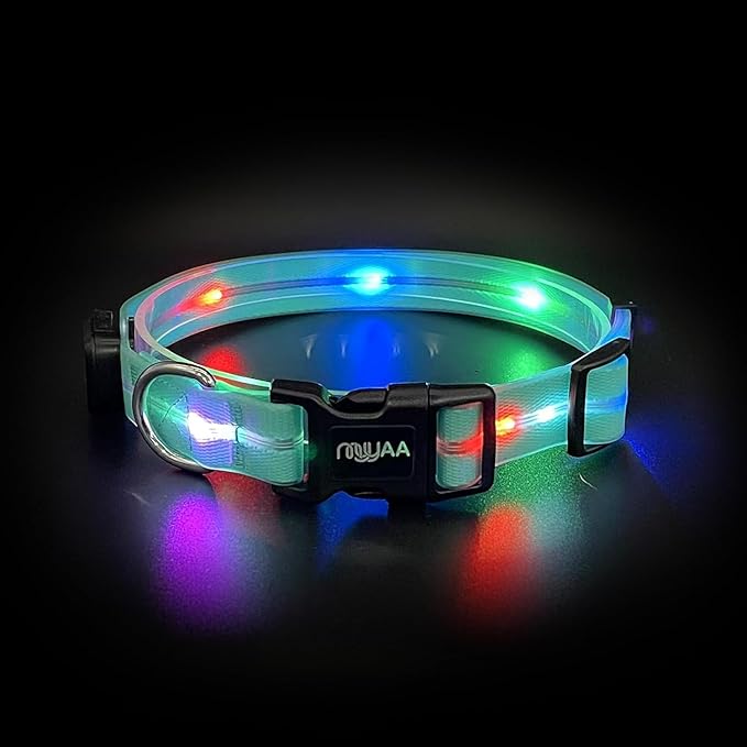 Light up Dog Collars,Led Dog Collar Rechargeable,Glow in Dark Dog Lights for Walking at Night for Small Medium, Large Dogs (Blue)