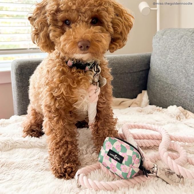 Lucy & Co. Dog Poop Bag Holder - Leak Proof Dispenser with Leash Attachment - Easy Refills - Hygienic Pet Poop Pickup - Green Pink Smiley