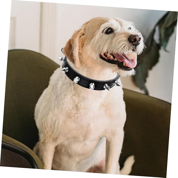 Rivet Dog Collar Adjustable Leather Studded Collar 2.0cm Wide Sturdy Black Medium Size for Small Dogs and Cats Training and Walking