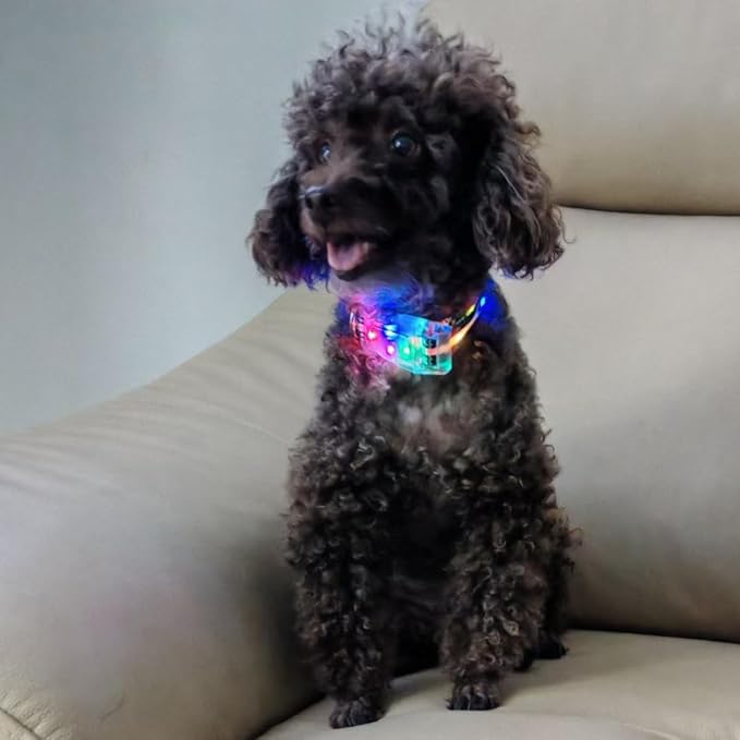 Light Up Dog Collars,LED Dog Collar Rechargeable Waterproof,2-in-1 Buckle Type Glow Collar for Medium Large Dogs.XS(Bohemian Blue)