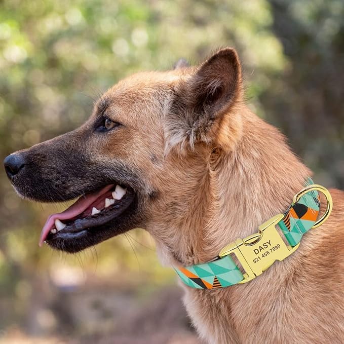 Fashion Custom Dog Collar Nylon Print Personalized Pet Collar Puppy Dog ID Collars Free Engraved ID for Small Medium Large Dogs 147 Green 30 to 42 cm