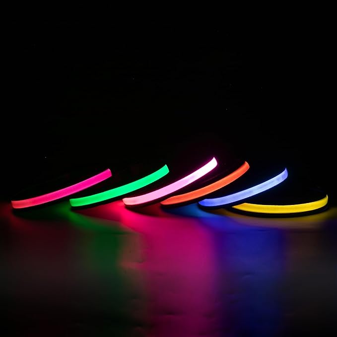 Dog Led Collar Waterproof, Glowing Collars for Small Dogs, Lighted Dog Collars for Night Flashing, Rechargeable Light Up Dog Collars (Red, Pack of 1, S)