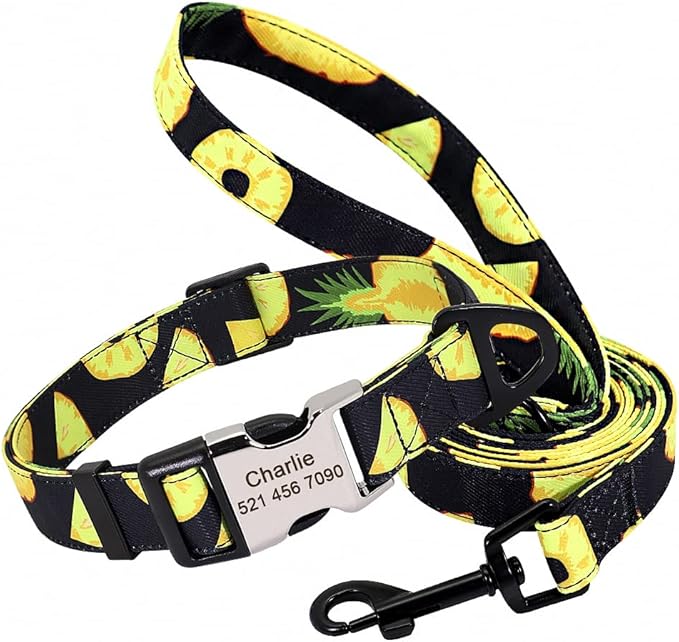 Cute Custom Dog Collar Leash Personalized Fruit Print Nylon Dog Collar Lead Engraved Name ID for Small Medium Large Dog Pitbull 159 Black Set L