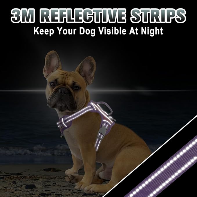 BARKBAY No Pull Dog Harness Large Reflective Dog Harness with Front Clip and Easy Control Handle for Walking Training Running with ID tag Pocket(Baby Pink & Violet Purple,XS)