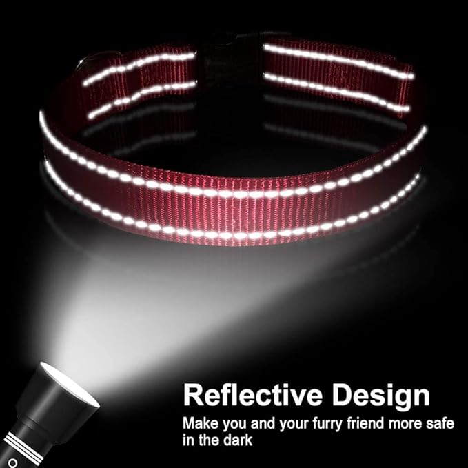 FunTags Reflective Dog Collar, Sturdy Nylon Collars for Puppy and Extra Small Girl and Boy Dogs, Adjustable Dog Collar with Quick Release Buckle,Red,3/8" Width