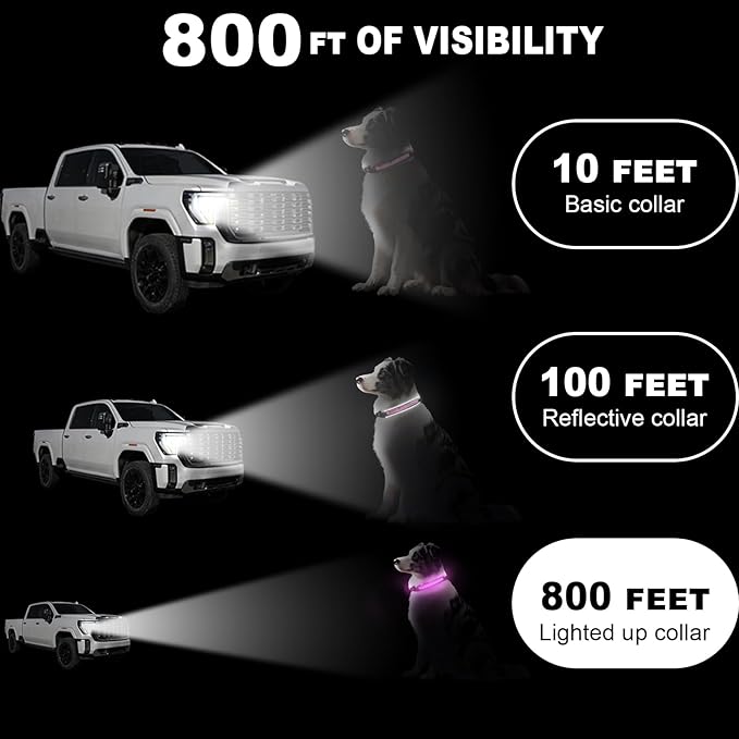 Light Up Dog Collar-Rechargeable & Long-Lasting Power LED Dog Collar Lights for Night Walking, Waterproof & Safety Glowing Collars for Small Dogs [Pink-S]