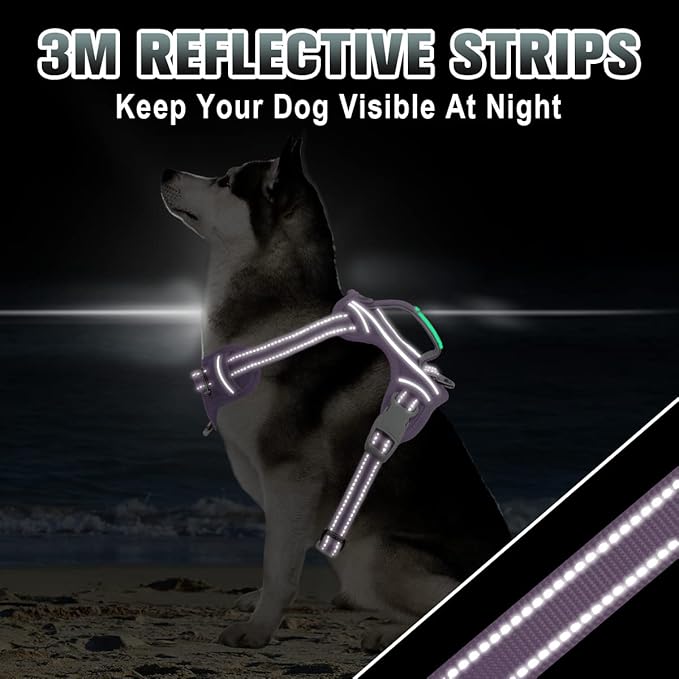 BARKBAY No Pull Dog Harness Large Reflective Dog Harness with Front Clip and Easy Control Handle for Walking Training Running with ID tag Pocket(Violet Purple,M)