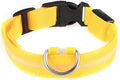 Adjustable Glowing Collar for Small Large Dogs Ensuring for Night Walk Multicolored Dog Collar for Large Dogs