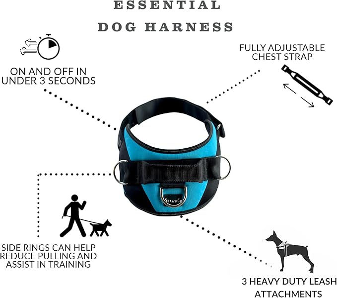 ShawnCo Essential Dog Harness, No-Pull Pet Vest with 3 Leash Clips, No Choke, Reflective, Adjustable and Padded, for Easy Walking and Training for Small, Medium and Large Dogs (Pacific Blue, L)