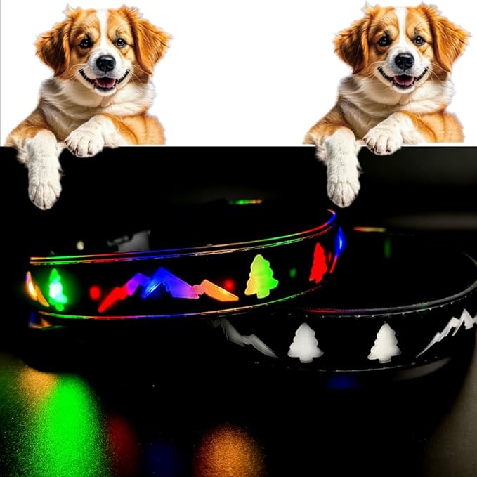 LED Dog Collar, 15 Light Modes, USB-C Rechargeable, Silicone Material, Adjustable Size, (Black Pro, M(11.8-15.7"))