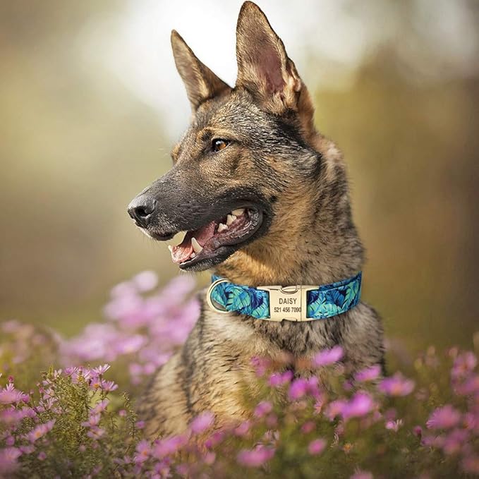 Personalized Floral Dog Collar and Leash Set Custom Small Medium Large Dog Pet ID Collar Lead Flower Print Dog Engraved Collars Blue Collar L