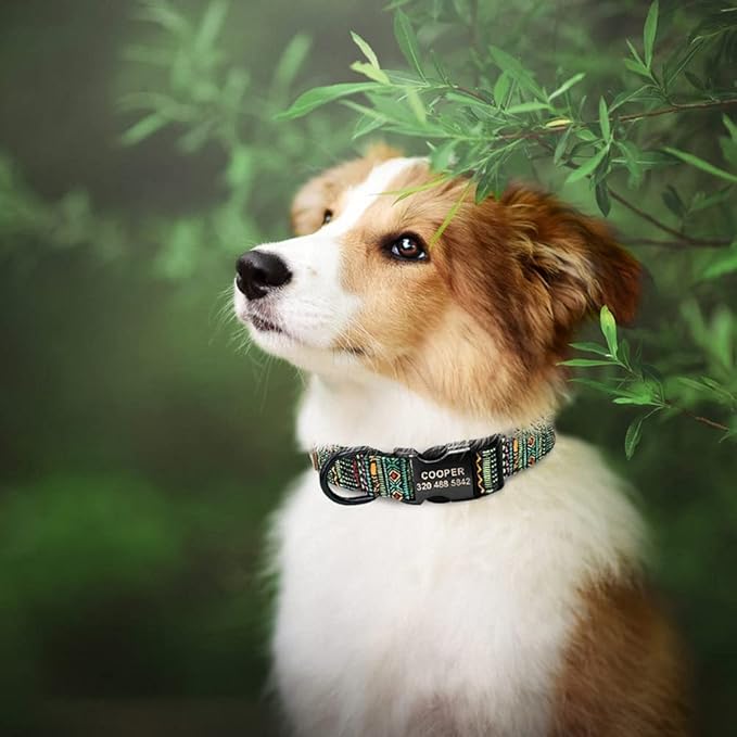 Personalized Dog Collar Custom Puppy Pet Collar Pitbull Collars Pets Acessorios Products Small Dog Collar for Medium Large Pet Green L